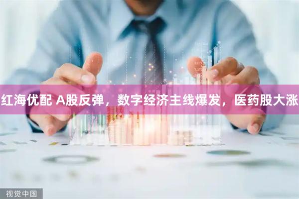 红海优配 A股反弹，数字经济主线爆发，医药股大涨