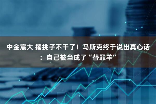 中金宸大 撂挑子不干了！马斯克终于说出真心话：自己被当成了“替罪羊”