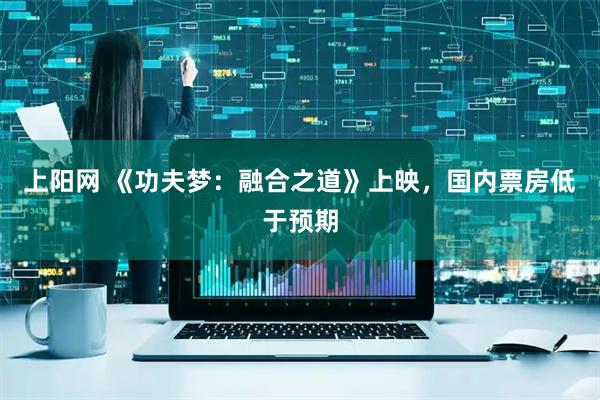 上阳网 《功夫梦：融合之道》上映，国内票房低于预期