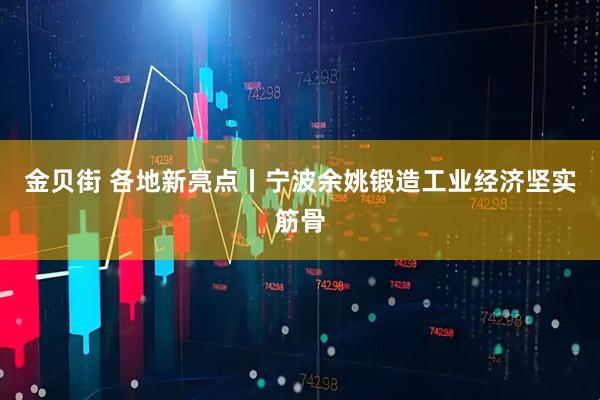 金贝街 各地新亮点丨宁波余姚锻造工业经济坚实筋骨