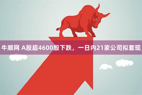 牛顺网 A股超4600股下跌，一日内21家公司拟套现