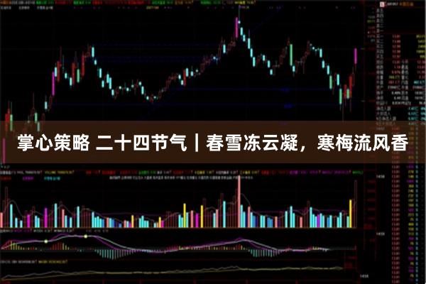 掌心策略 二十四节气｜春雪冻云凝，寒梅流风香